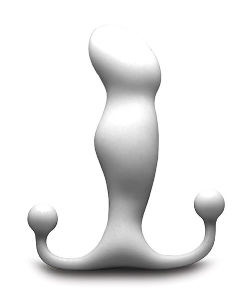 Aneros Tempo Anal Stainless Steel Stimulator