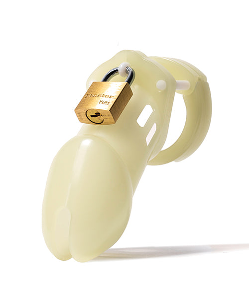 CB-6000 CB-6000 3 1/4" Cock Cage & Lock Set