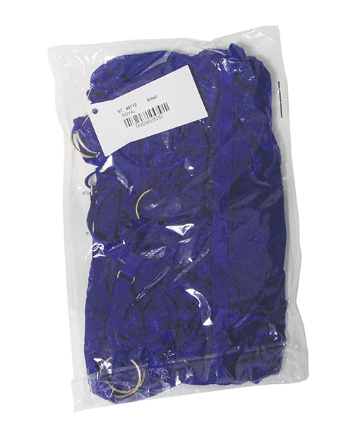 Sapphire Dreams Feather Lace and Mesh Bustier w/Thong 2 pc Set - Royal SM