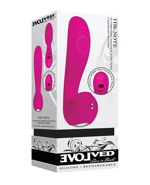Evolved The Note Thumping Licking Vibe - Pink