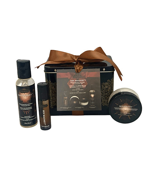 Kama Sutra Kama Sutra Sex Magnet Gift Set