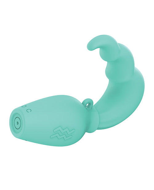 OEJSG-ZL-I011