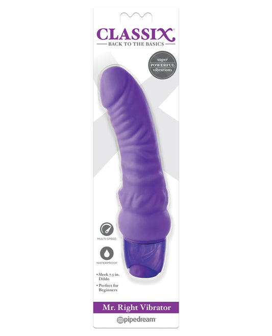 Classix Mr. Right Vibrator - Purple