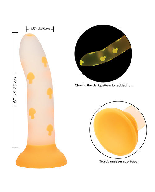 SE0309-10